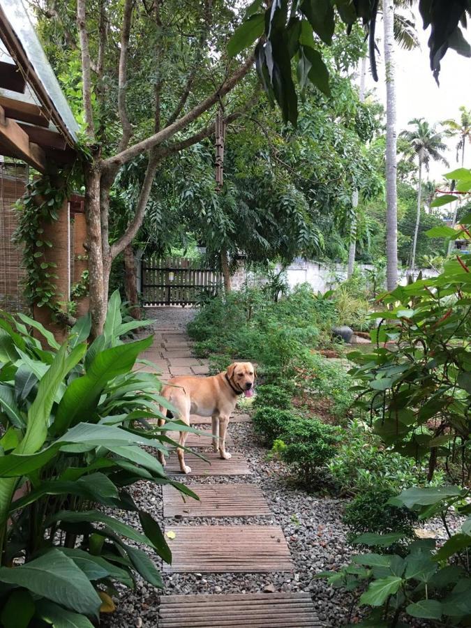 Villa Akasa Варкала Экстерьер фото